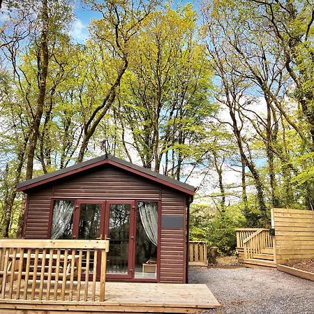 Woodland View -Hot Tub-Tenby-Carmarthen-St Clears Eksteriør billede